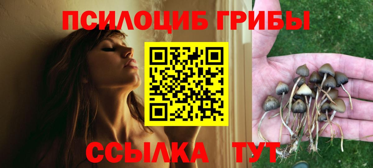 Псилоцибиновые грибы MAGIC MUSHROOMS  Вход с VPN  Торжок 